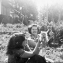 Norma and sister Claudine with new kittens Pete (foreground) and Joe, in Grand Terrace.