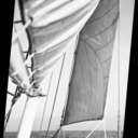 Sails set and drawing, San Francisco Bay.